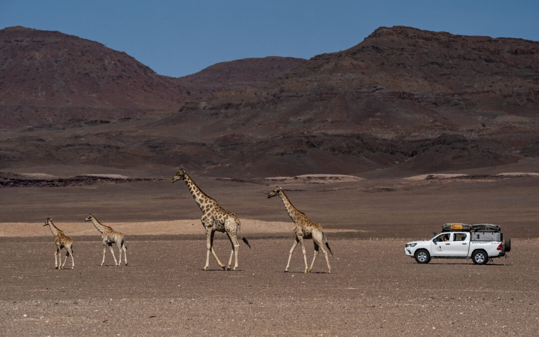 Namibia podczas pandemii 2020/21