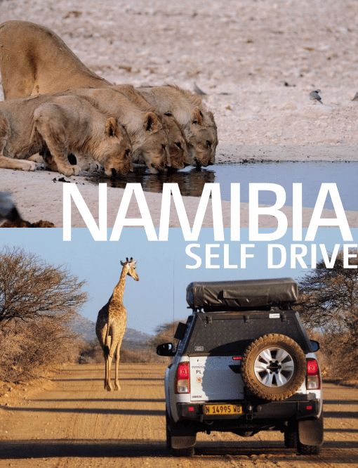 Namibia - wyprawa do Afryki
