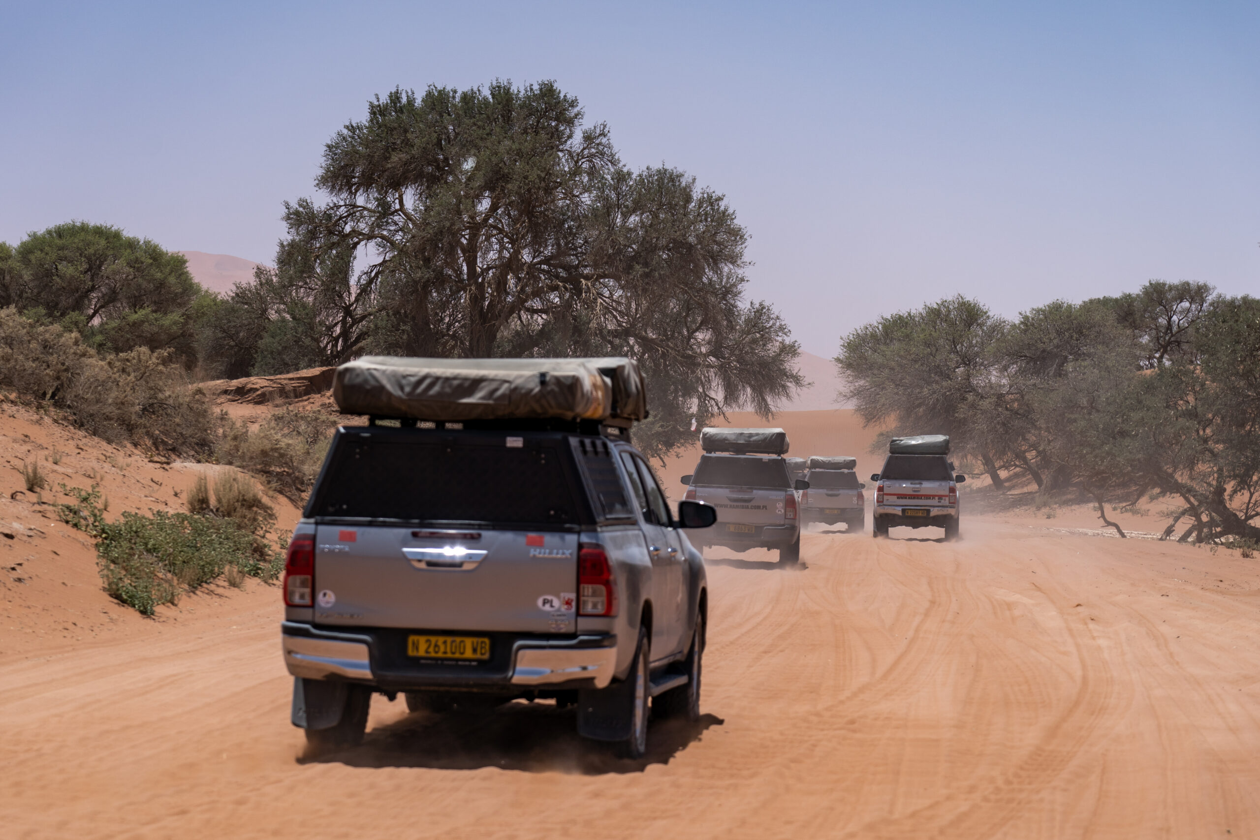 safari namibia