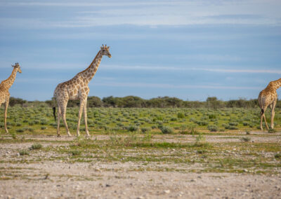 podróże do Namibii