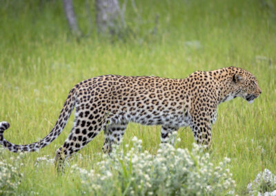 podróże do Namibii