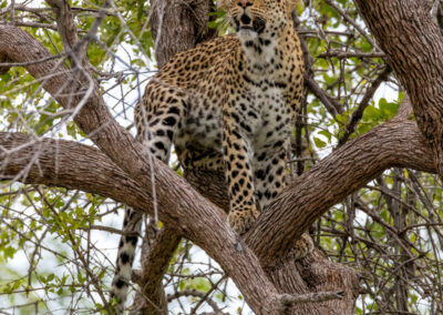 podróże do Namibii