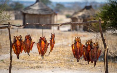 Namibia dla smakoszy – festiwale kulinarne i lokalne przysmaki