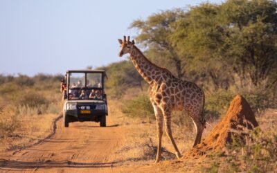 Road trip po Namibii – najpiękniejsze drogi i punkty widokowe